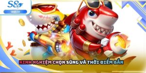 Kinh nghiệm chọn súng và thời điểm bắn