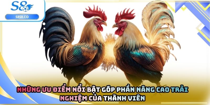 Những ưu điểm nổi bật góp phần nâng cao trải nghiệm của thành viên